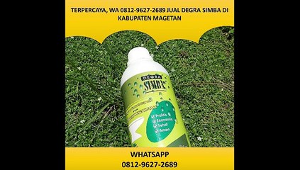 TERPERCAYA, WA 0812-9627-2689 Jual degra simba di kabupaten Magetan