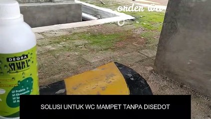 BISA BAYAR BELAKANGAN, WA 0812-9627-2689 Jual degra simba di kabupaten Nganjuk