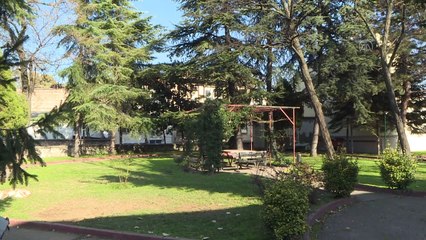 BURSA - Şiddeti Önleme ve İzleme Merkezleri kadınlara güç veriyor