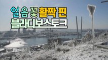 [세상만사] 블라디보스토크에 때 이른 얼음꽃 만개 / YTN