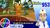 Dr. Khỏe - Tập 953: Củ nghệ tốt cho phụ nữ sau sinh