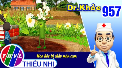Dr. Khỏe - Tập 957: Hoa hòe trị chảy máu cam