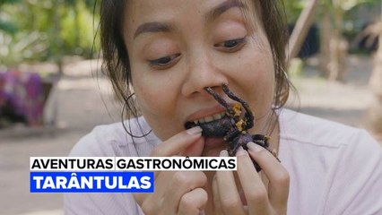 Aventuras Gastronômicas: Tarântulas