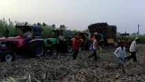 Tractor videos a | how to pull out trolley filled with sugarcane by five tractor | heavy loaded sugarcane trolley pulled out by 5 tractor