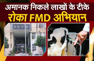 एक बार फिर अमानक निकले लाखों के टीके, विभाग ने समाप्त होने से पहले रोका अभियान