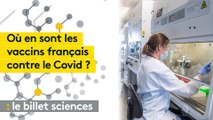 Sanofi, Pasteur : où en sont les vaccins des laboratoires français contre le Covid-19 ?