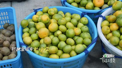 幸福三重奏第三季 第04期 20201119 part 1/2