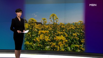 김주하의 11월 24일 '이 한 장의 사진'