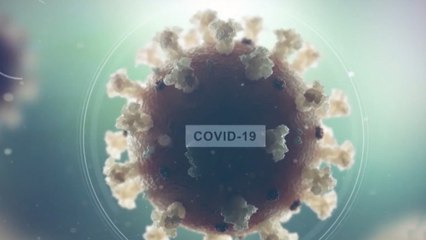 tn7-covid-19-sabado-domingo-lunes-sumaron-2877-casos-241120