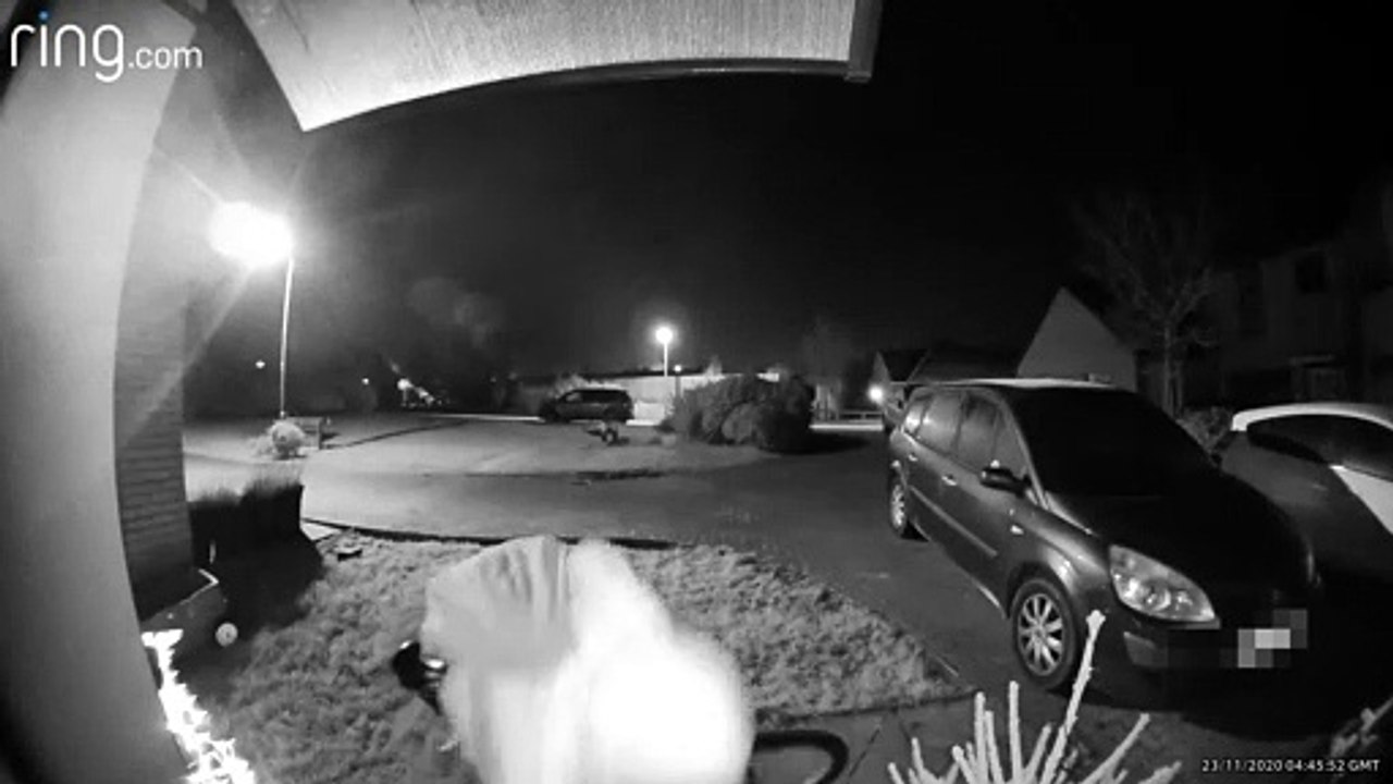 Milton Keynes home security camera catches man stealing bread