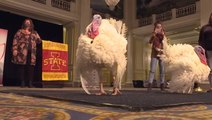 Presidential turkeys make their debut in Washington, D.C.