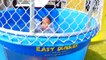 Ryan plays Dunk Tank Family Challenge with Daddy and Mommy