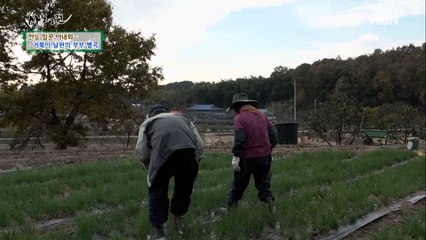바쁘다 바빠! 몸이 열 개라도 모자른 토끼 아내와 느릿느릿 거북이 남편