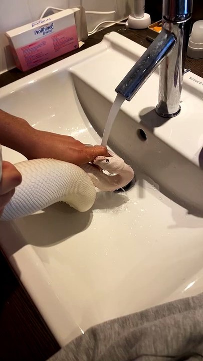 Python Hangs on to Handlers Finger