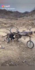 Funny clips funny videos Tractor funny