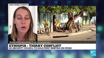 Ethiopia-Tigray conflict: UN Security council to hold first meeting on crisis
