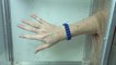 Les bracelets anti-moustiques sont-ils efficaces ?