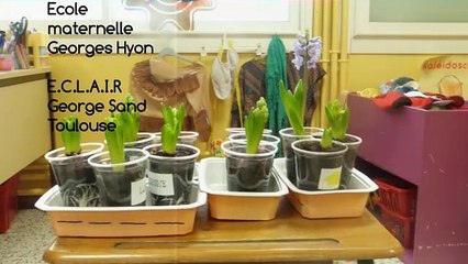 Fiche5_Planter_un_bulbe