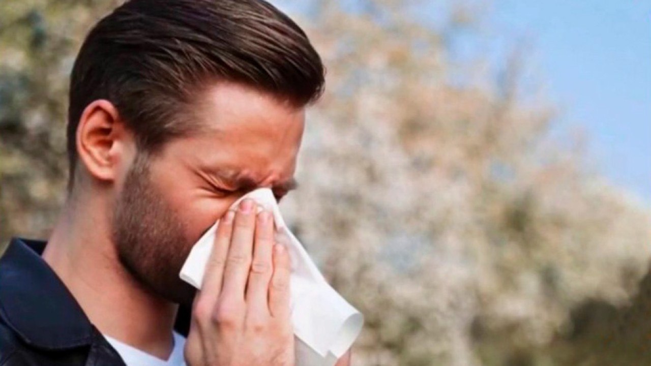 bd-reducir-factores-desencadenantes-de-rinitis-alergicas-241120