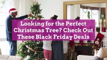 Looking for the Perfect Christmas Tree? Check Out These Black Friday Deals