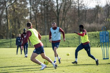 Vidéo  : des Dogues appliqués à l'entraînement