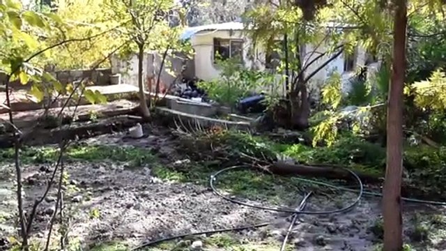 MUĞLA - Bodrum'da içme suyu hattındaki patlama nedeniyle iş yerlerini su bastı