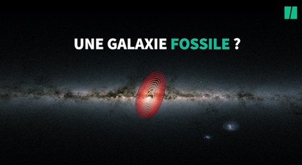 下载视频: Les vestiges d'une ancienne galaxie découverts au centre de la Voie Lactée