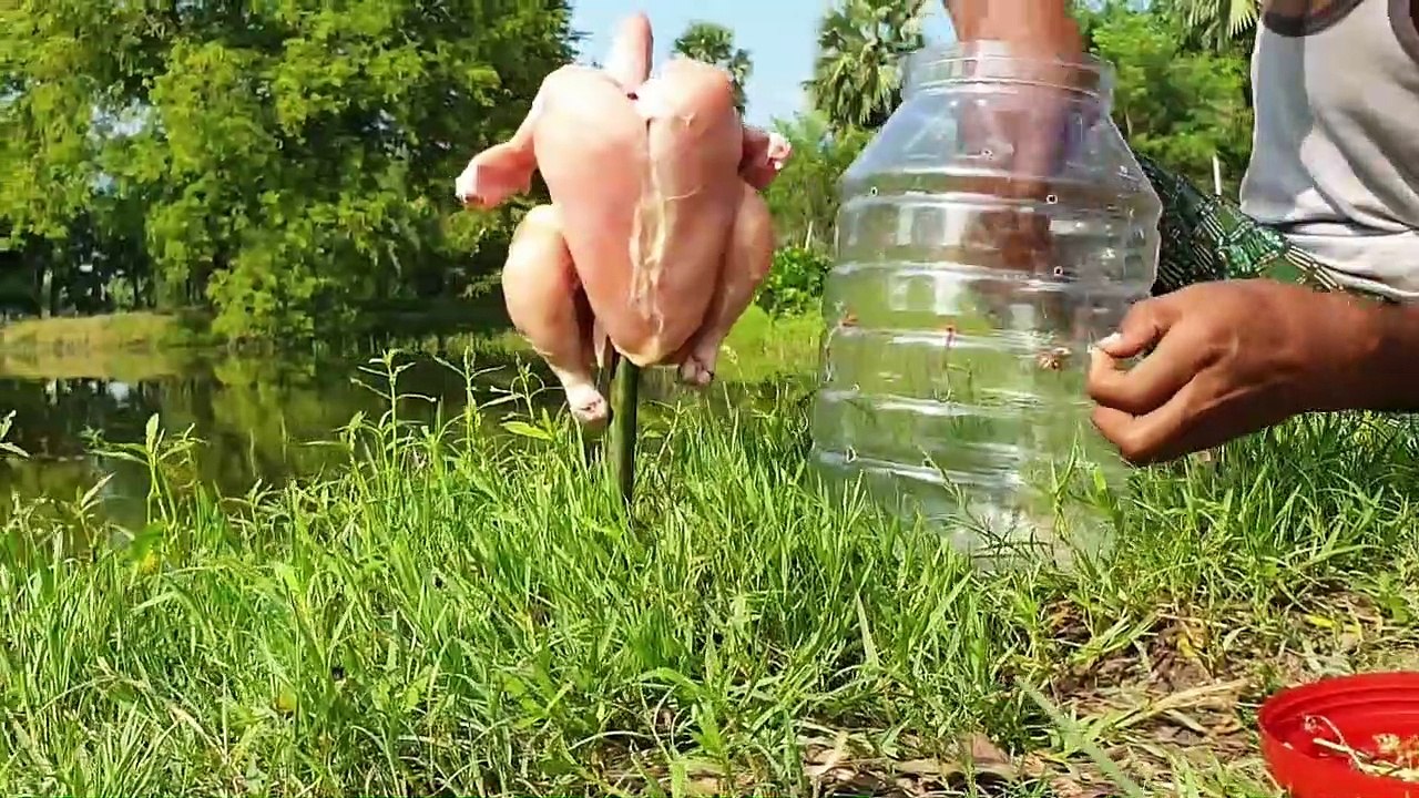 Unique Fishing Style With Chicken _ Beautiful Fish Trap-Plastic Bottle Our Villa