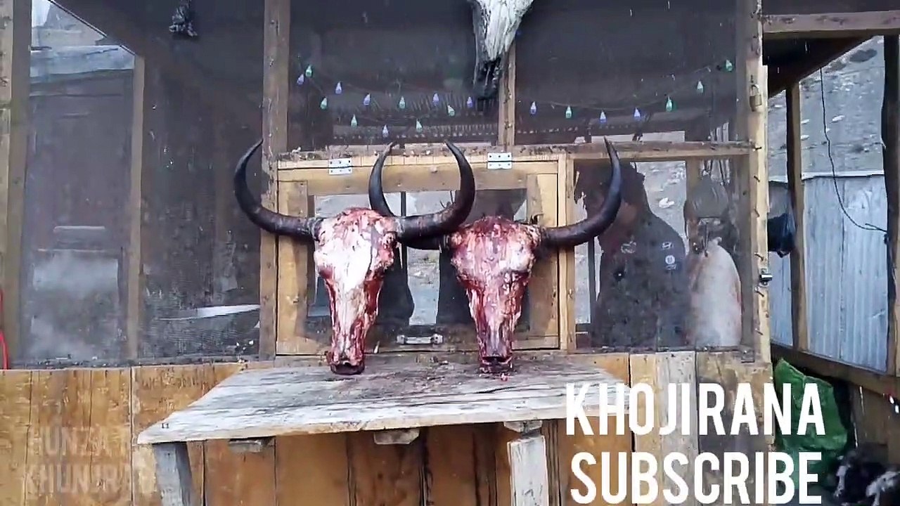 Khunjrab_Snowfall_l_Hunza_l_yak_l_ibex_l_2020_l_Autumn_l_Attabad_lake_l_Silk_Route_l_Khoji_Rana.mp4