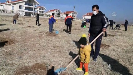 ANKARA - Çubuk’ta öğretmenler için hatıra ormanı oluşturuldu