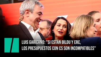 Luis Garicano: "Una ecuación de los Presupuestos con Ciudadanos, Esquerra y Bildu no es posible"