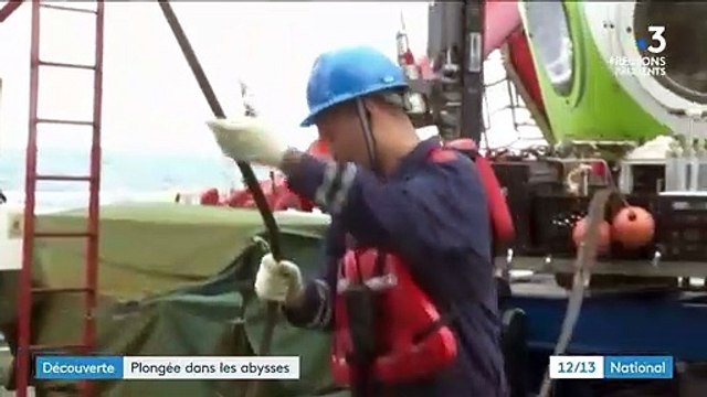 Science : plongée dans la Fosse des Mariannes