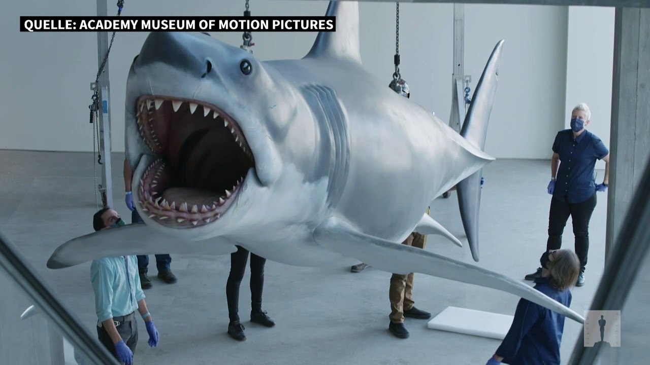 Der weiße Hai 'Bruce' zieht ins Museum nach Los Angeles
