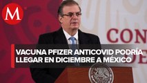 Vacuna anticovid de Pfizer llegaría en diciembre a México en caso de ser aprobada