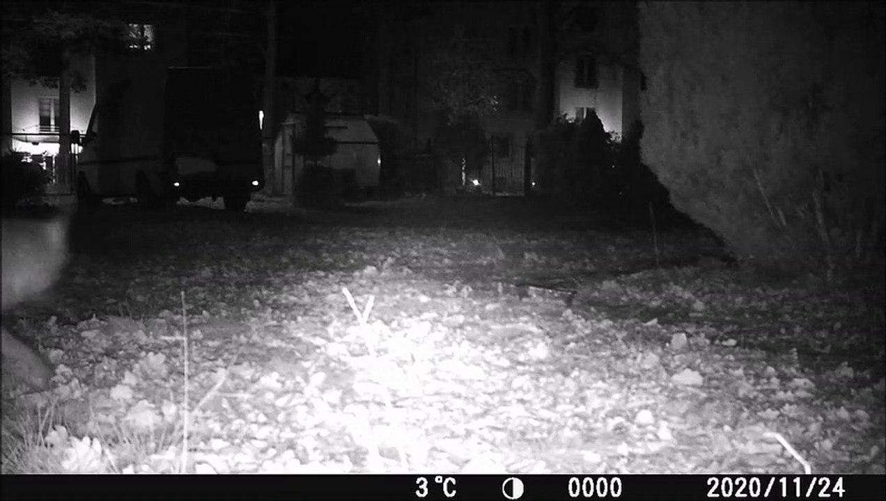 a new visitor_effects