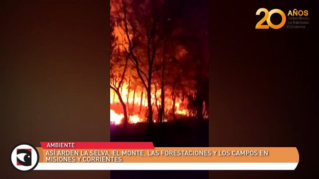 Así arden la selva, el monte, las forestaciones y los campos en Misiones y Corrientes