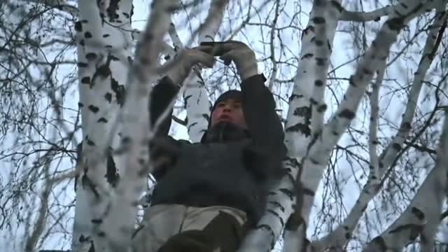 La falla de comunicación en Siberia obliga a un joven a escalar a un árbol para poder estudiar online