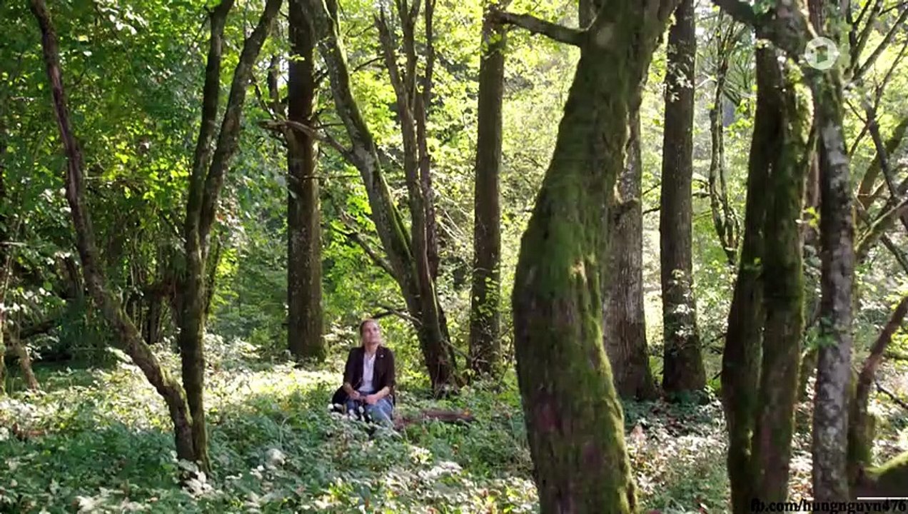 Sturm der Liebe Folge 3497 Ein Ritter in der Not