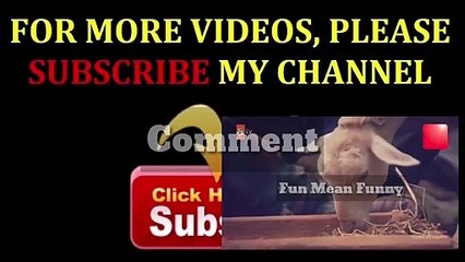 Kurlus osman season 2 episode 1 urdu hindi