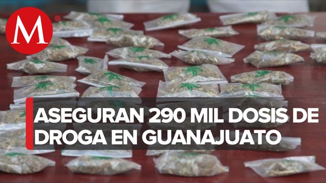 Incrementan carpetas de investigación por narcomenudeo 88% en Guanajuato