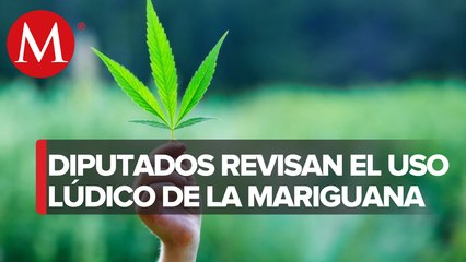 Cámara de Diputados recibe proyecto de ley sobre uso lúdico de la mariguana