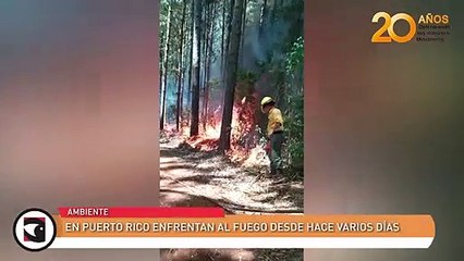 En Puerto Rico enfrentan al fuego desde hace varios días