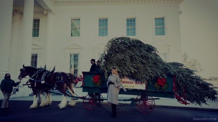 Twitter Is Dragging Melania Trump Over the White House Christmas Tree