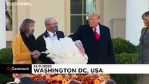 Trump indulta a su último pavo en la Casa Blanca por el Día de Acción de Gracias