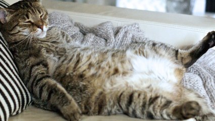 Science May Channel Your Hormones To Help You Lose Weight