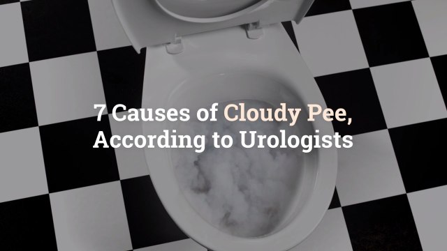 7 Causes of Cloudy Pee, According to Urologists