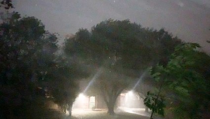 Storms blow through Dallas County