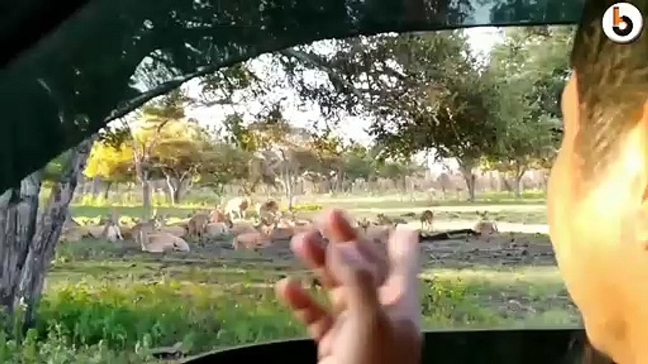 BANYUWANGI - SATWA LIAR DI BALURAN BEBAS KELUAR DI TENGAH PANDEMI