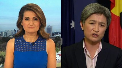 Penny Wong talks Labor's stance on climate change, citizenship cancellations