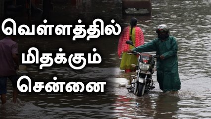 சென்னையை புரட்டி எடுக்கிறது Nivar.. விடாமல் பெய்யும் மழை!  | Oneindia Tamil